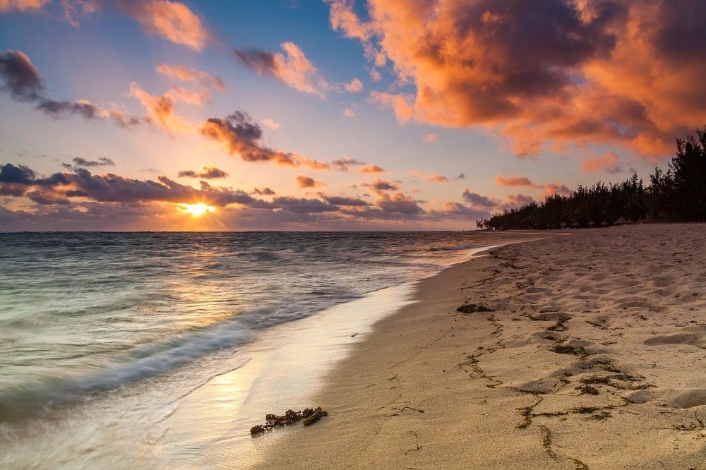 Explorez la Côte Ouest de La Réunion