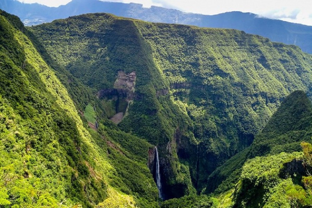 Visiter la Forêt de Bélouve à la Réunion