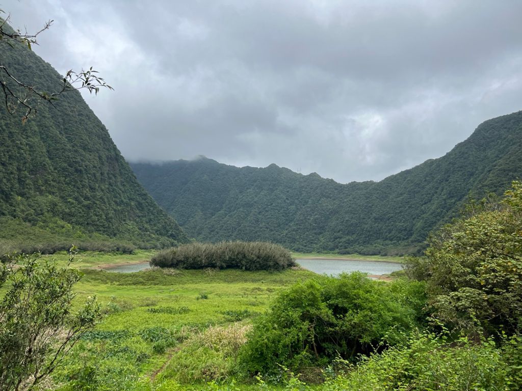 grand-étang-Saint-Benoît-réunion-2