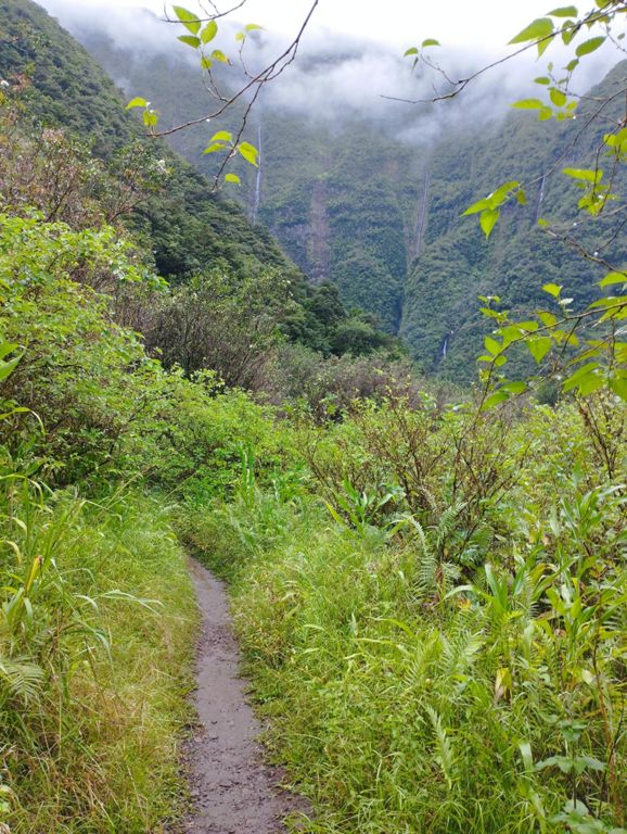 grand-étang-Saint-Benoît-réunion-5