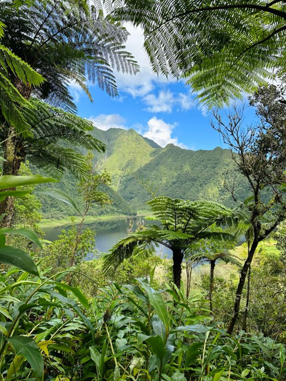 grand-étang-Saint-Benoît-réunion