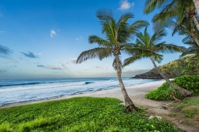 saint-gilles-les-bains-a-la-réunion